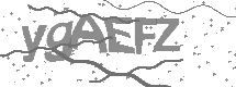 visual captcha